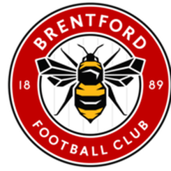 布伦特福德队旗