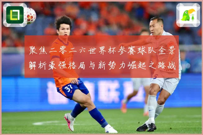 聚焦二零二六世界杯参赛球队全景解析豪强格局与新势力崛起之路战术观察