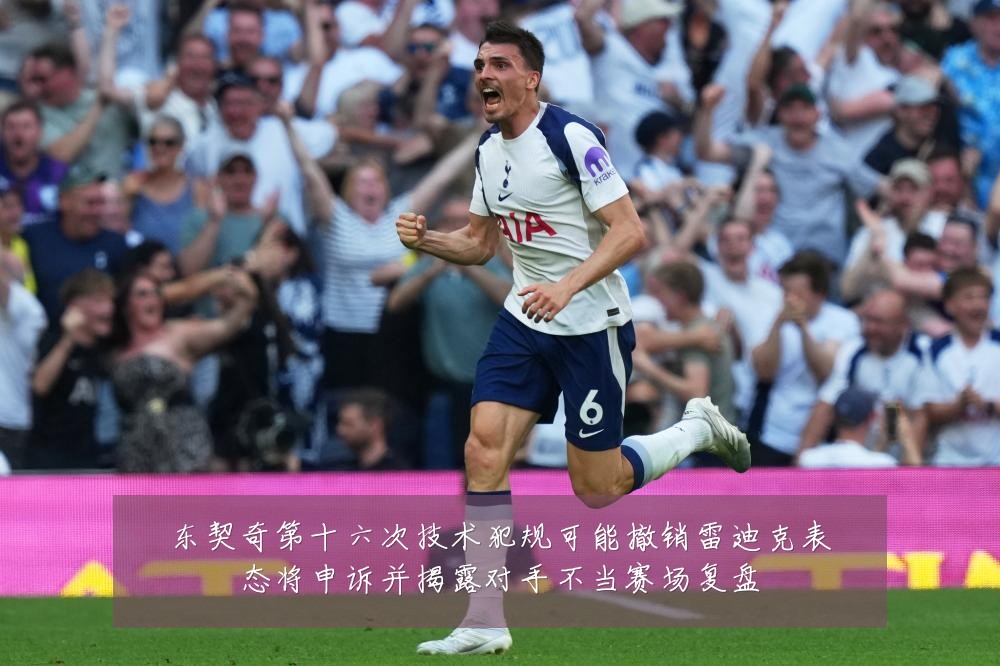 东契奇第十六次技术犯规可能撤销雷迪克表态将申诉并揭露对手不当赛场复盘